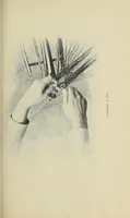 Picture 7 of 9 from Bicycling for ladies : with hints as to the art of wheeling, advice to beginners, dress, care of the bicycle, mechanics, training, exercise, etc., etc. (1896), leaf 187