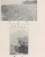 An illustration from Bijutsukan shuppin zuroku (1907)