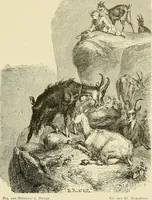 An illustration from Bilder-Album zur neueren Geschichte des Holzschnitts in Deutschland. (1877)