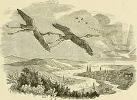Picture 11 of 155 from Bilder-Album zur neueren Geschichte des Holzschnitts in Deutschland. (1877), leaf 26