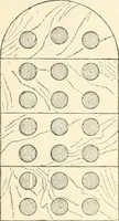 Picture 45 of 193 from Bilder aus der Geschichte der altchristlichen Kunst und liturgie in Italien (1899), leaf 86