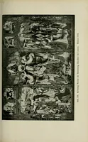 Picture 10 of 16 from Bildteppiche; Geschichte der Gobelinwirkerei (1922), leaf 207