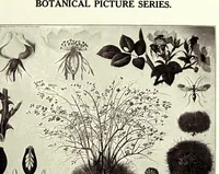 An illustration from Biological Apparatus and Supplies (1914)