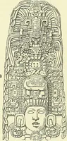 An illustration from Biologia Centrali-Americana, or, Contributions to the knowledge of the fauna and flora of Mexico and Central America (1889)