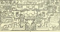 An illustration from Biologia Centrali-Americana, or, Contributions to the knowledge of the fauna and flora of Mexico and Central America (1889)