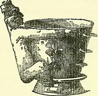 An illustration from Biologia Centrali-Americana, or, Contributions to the knowledge of the fauna and flora of Mexico and Central America (1889)