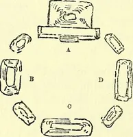 An illustration from Biologia Centrali-Americana, or, Contributions to the knowledge of the fauna and flora of Mexico and Central America (1889)