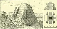 An illustration from Biologia Centrali-Americana, or, Contributions to the knowledge of the fauna and flora of Mexico and Central America (1889)