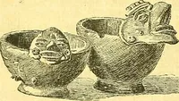 An illustration from Biologia Centrali-Americana, or, Contributions to the knowledge of the fauna and flora of Mexico and Central America (1889)