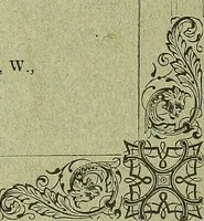 An illustration from Biologia Centrali-Americana, or, Contributions to the knowledge of the fauna and flora of Mexico and Central America (1889)