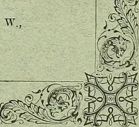 An illustration from Biologia Centrali-Americana, or, Contributions to the knowledge of the fauna and flora of Mexico and Central America (1889)