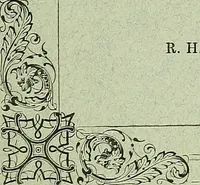 An illustration from Biologia Centrali-Americana, or, Contributions to the knowledge of the fauna and flora of Mexico and Central America (1889)