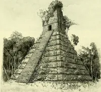 An illustration from Biologia Centrali-Americana, or, Contributions to the knowledge of the fauna and flora of Mexico and Central America (1889)
