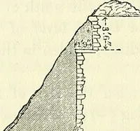 An illustration from Biologia Centrali-Americana, or, Contributions to the knowledge of the fauna and flora of Mexico and Central America (1889)