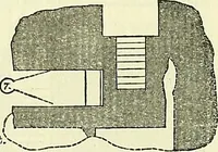 An illustration from Biologia Centrali-Americana, or, Contributions to the knowledge of the fauna and flora of Mexico and Central America (1889)