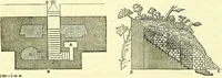 An illustration from Biologia Centrali-Americana, or, Contributions to the knowledge of the fauna and flora of Mexico and Central America (1889)