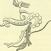 An illustration from Biologia Centrali-Americana, or, Contributions to the knowledge of the fauna and flora of Mexico and Central America (1889)