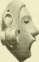 An illustration from Biologia Centrali-Americana, or, Contributions to the knowledge of the fauna and flora of Mexico and Central America (1889)