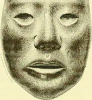 An illustration from Biologia Centrali-Americana, or, Contributions to the knowledge of the fauna and flora of Mexico and Central America (1889)