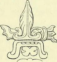 An illustration from Biologia Centrali-Americana, or, Contributions to the knowledge of the fauna and flora of Mexico and Central America (1889)