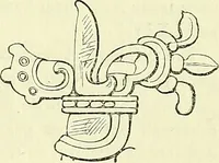 An illustration from Biologia Centrali-Americana, or, Contributions to the knowledge of the fauna and flora of Mexico and Central America (1889)