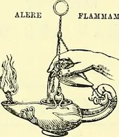 An illustration from Biologia Centrali-Americana, or, Contributions to the knowledge of the fauna and flora of Mexico and Central America (1889)
