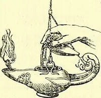 An illustration from Biologia Centrali-Americana, or, Contributions to the knowledge of the fauna and flora of Mexico and Central America (1889)