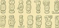 An illustration from Biologia Centrali-Americana, or, Contributions to the knowledge of the fauna and flora of Mexico and Central America (1889)