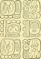 An illustration from Biologia Centrali-Americana, or, Contributions to the knowledge of the fauna and flora of Mexico and Central America (1889)