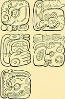 An illustration from Biologia Centrali-Americana, or, Contributions to the knowledge of the fauna and flora of Mexico and Central America (1889)