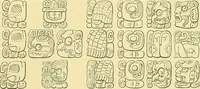 An illustration from Biologia Centrali-Americana, or, Contributions to the knowledge of the fauna and flora of Mexico and Central America (1889)