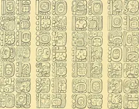 An illustration from Biologia Centrali-Americana, or, Contributions to the knowledge of the fauna and flora of Mexico and Central America (1889)