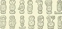 An illustration from Biologia Centrali-Americana, or, Contributions to the knowledge of the fauna and flora of Mexico and Central America (1889)