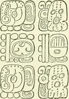 An illustration from Biologia Centrali-Americana, or, Contributions to the knowledge of the fauna and flora of Mexico and Central America (1889)