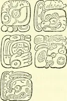 An illustration from Biologia Centrali-Americana, or, Contributions to the knowledge of the fauna and flora of Mexico and Central America (1889)
