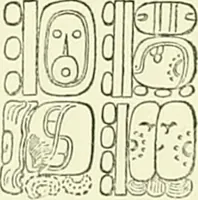 An illustration from Biologia Centrali-Americana, or, Contributions to the knowledge of the fauna and flora of Mexico and Central America (1889)