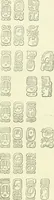 An illustration from Biologia Centrali-Americana, or, Contributions to the knowledge of the fauna and flora of Mexico and Central America (1889)