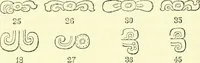 An illustration from Biologia Centrali-Americana, or, Contributions to the knowledge of the fauna and flora of Mexico and Central America (1889)