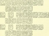 An illustration from Biologia Centrali-Americana, or, Contributions to the knowledge of the fauna and flora of Mexico and Central America (1889)