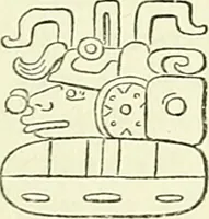 An illustration from Biologia Centrali-Americana, or, Contributions to the knowledge of the fauna and flora of Mexico and Central America (1889)