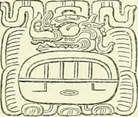 An illustration from Biologia Centrali-Americana, or, Contributions to the knowledge of the fauna and flora of Mexico and Central America (1889)