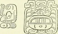 An illustration from Biologia Centrali-Americana, or, Contributions to the knowledge of the fauna and flora of Mexico and Central America (1889)