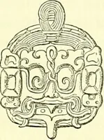 An illustration from Biologia Centrali-Americana, or, Contributions to the knowledge of the fauna and flora of Mexico and Central America (1889)