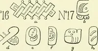 An illustration from Biologia Centrali-Americana, or, Contributions to the knowledge of the fauna and flora of Mexico and Central America (1889)