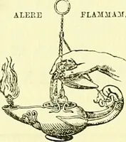 An illustration from Biologia Centrali-Americana, or, Contributions to the knowledge of the fauna and flora of Mexico and Central America (1889)