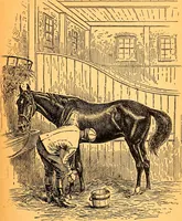 An illustration from Black Beauty : the autobiography of a horse (1870)
