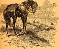 Picture 15 of 22 from Black Beauty : the autobiography of a horse (1870), leaf 42
