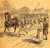 An illustration from Black Beauty : the autobiography of a horse (1870)