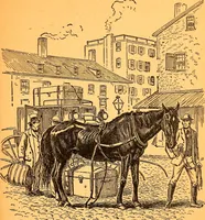 An illustration from Black Beauty : the autobiography of a horse (1870)