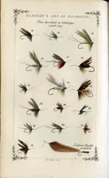 Picture 6 of 10 from Blacker's art of fly making, &c.; 1855 (1855), leaf 135